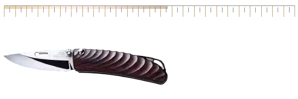 ROCKSTEAD NEHAN ZDP(ER)