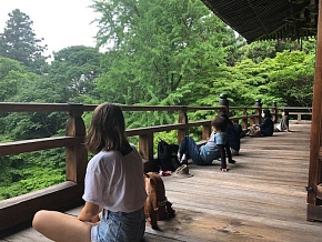 Summer Holidays 2024